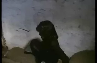 XXX یک مادر لاغر کانال تلگرام فیلم و عکس سکسی پسرش را که در حال استمناء دوربین است گرفت و محکوم به اعدام کرد