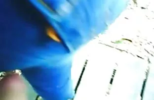 XXX منشی کانال تلگرام عکس سکسی خوب